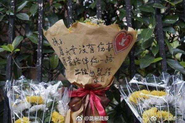 kokapp桌面版客户端